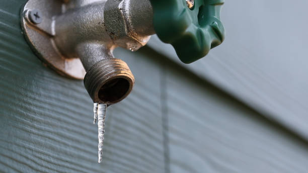 Best Best Plumbers Near Me  in Waldo, FL