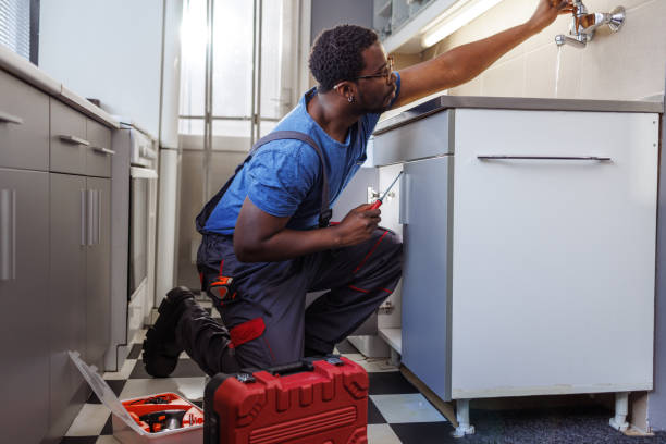 Best Water Softener Installation  in Waldo, FL