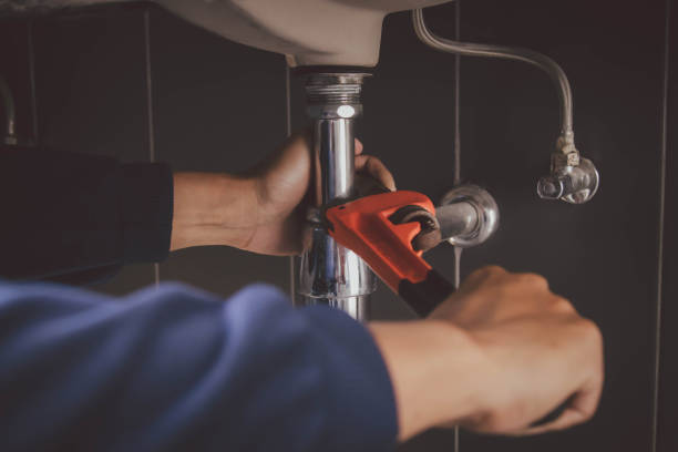 Best Plumbing Services Near Me  in Waldo, FL